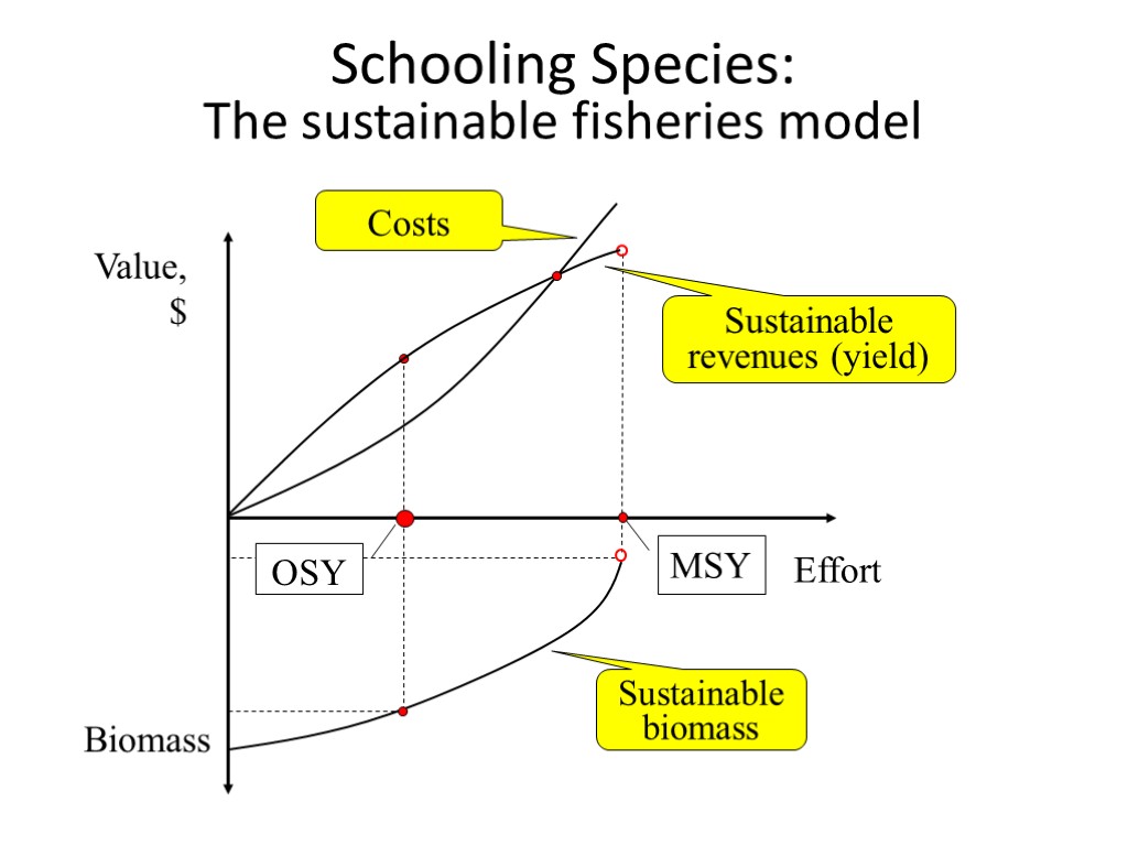 Schooling Species: The sustainable fisheries model Value, $ Effort Biomass Costs Sustainable revenues (yield)